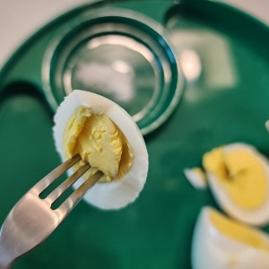 무항생제 계란 - 살빠지게 먹는법