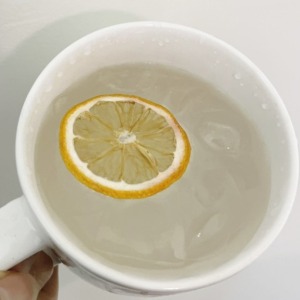 레몬칩 띄운 물